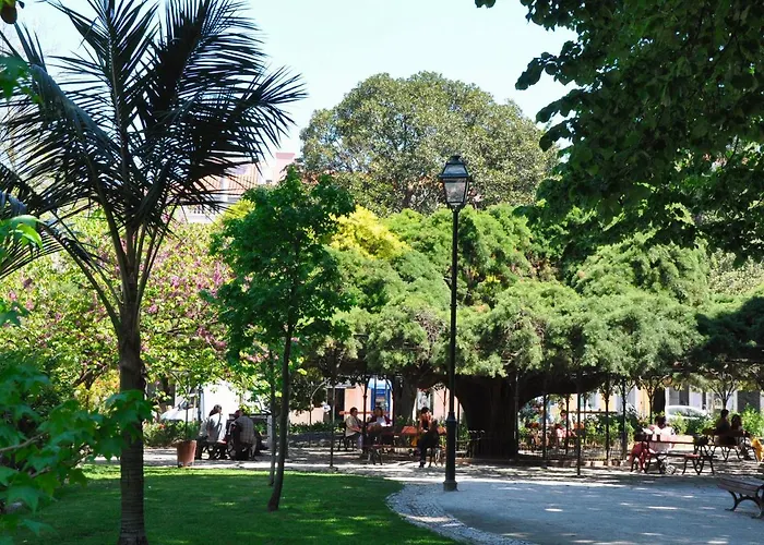 Typical Portuguese In Sao Bento