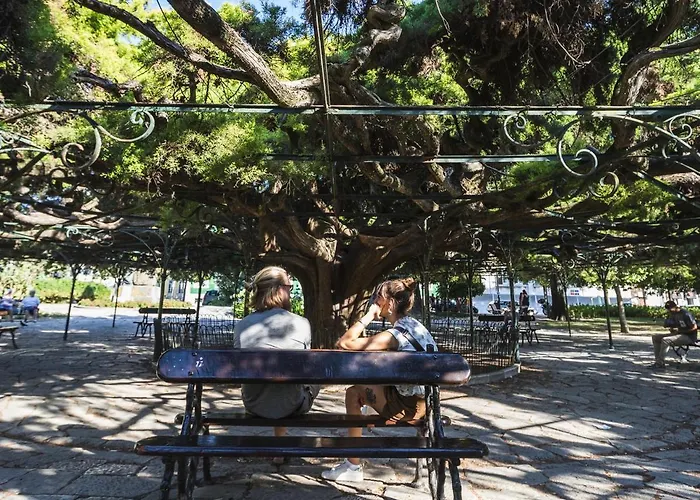 Typical Portuguese In Sao Bento * Lisbon