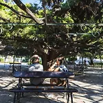 Typical Portuguese In Sao Bento * リスボン