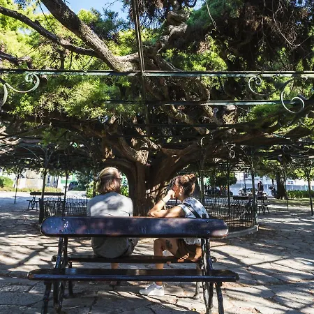Typical Portuguese In Sao Bento * Lissabon